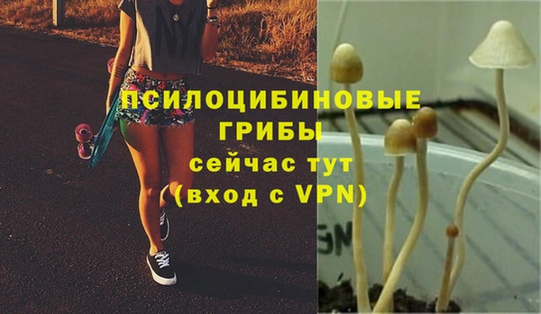 гидропоника Лихославль