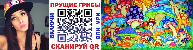 Псилоцибиновые грибы Cubensis сколько стоит Иноземцево